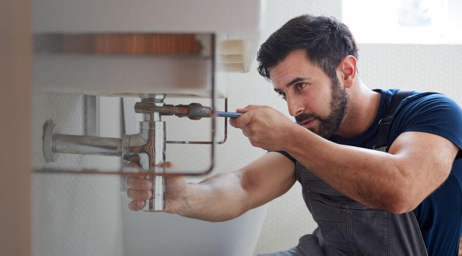 Trap Repair/Replacement in New Buffalo, MI